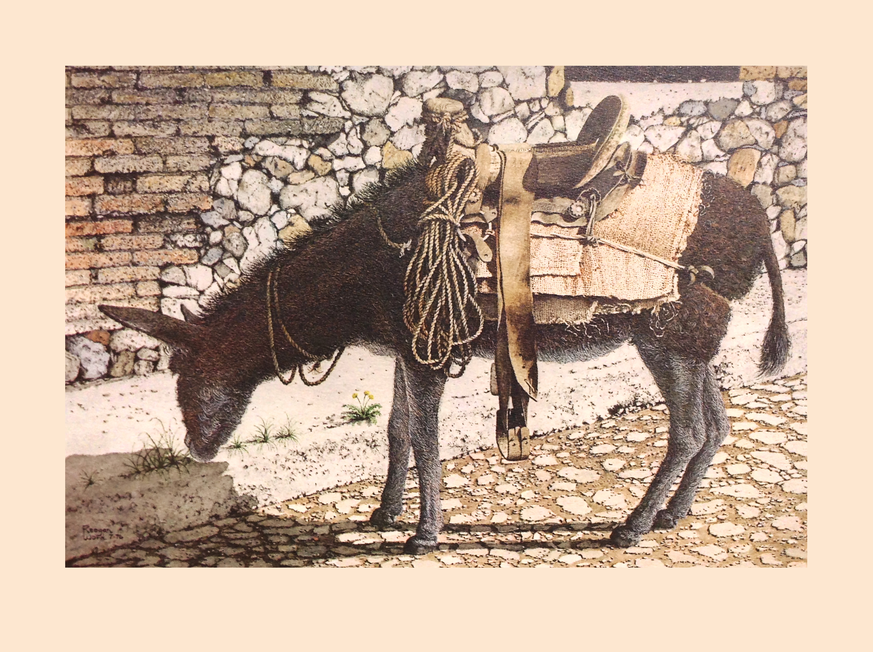 Burro print in Reagan Word's collection of "Paintings of the Southwest Series".